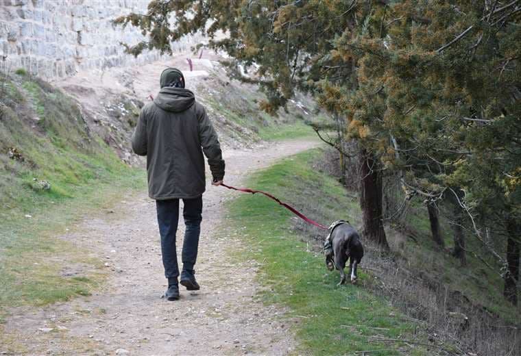 Guía práctica para que salga a pasear con sus mascotas de manera segura