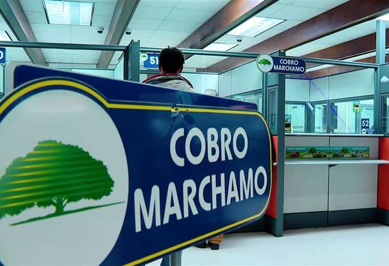 Marchamo 2026: quiénes reciben rebaja y cómo asegurarse de tenerla