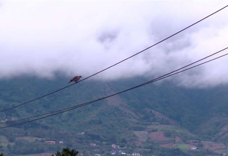 Este diciembre será mucho más frío de lo normal, pronostica experto