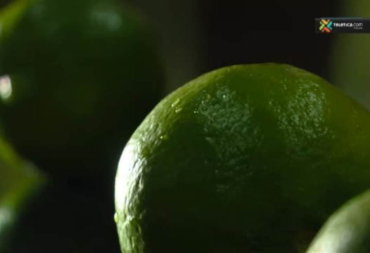 Usos del limón para embellecer su hogar