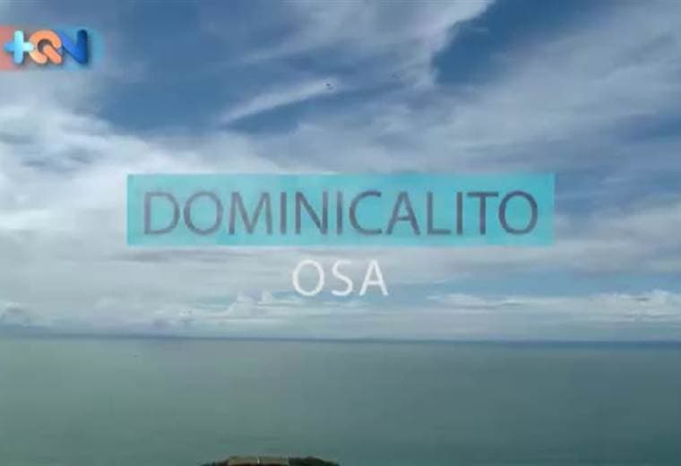 Sandy tenía 6 años cuando descubrió que el trabajo de sus sueños era algo relacionado con animales.  En 2015, ese sueño se hizo realidad cuando llegó al santuario de vida Silvestre Alturas.