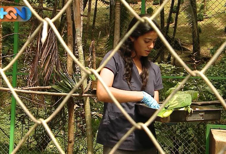 Sandy tenía 6 años cuando descubrió que el trabajo de sus sueños era algo relacionado con animales.  En 2015, ese sueño se hizo realidad cuando llegó al santuario de vida Silvestre Alturas.