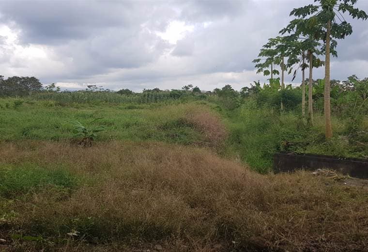 Imágenes cortesía del Inder