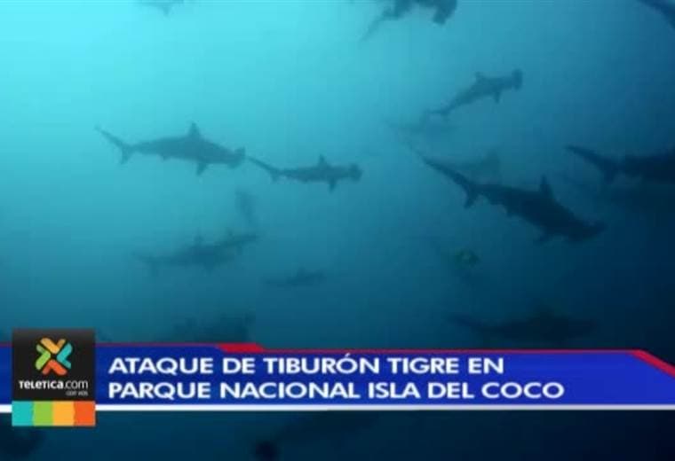 MINAET calificó como hecho aislado el ataque de tiburón a dos turistas en la Isla del Coco