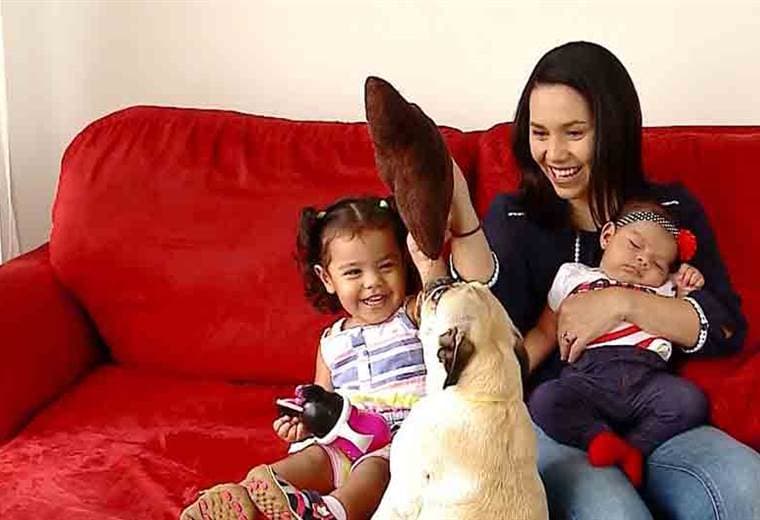 Siga estas recomendaciones para que su mascota aprenda a convivir con los recién nacidos