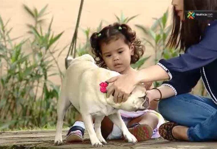 Siga estas recomendaciones para que su mascota aprenda a convivir con los recién nacidos