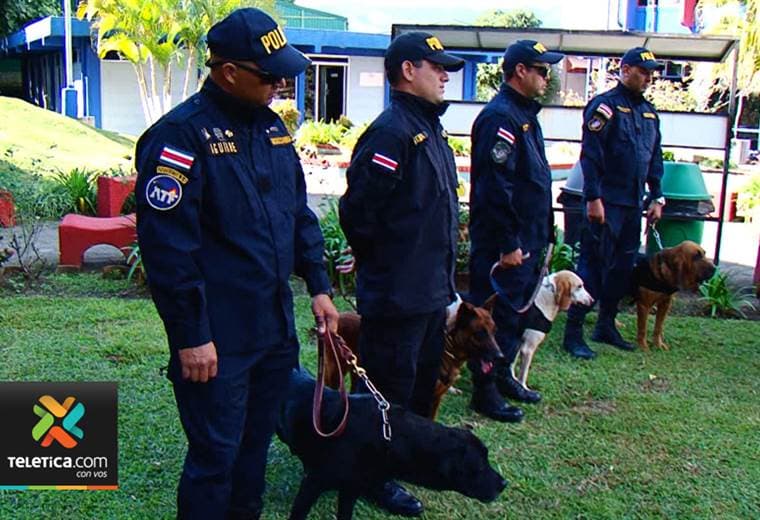 Fuerza Pública jubila a cuatro de sus perros policías