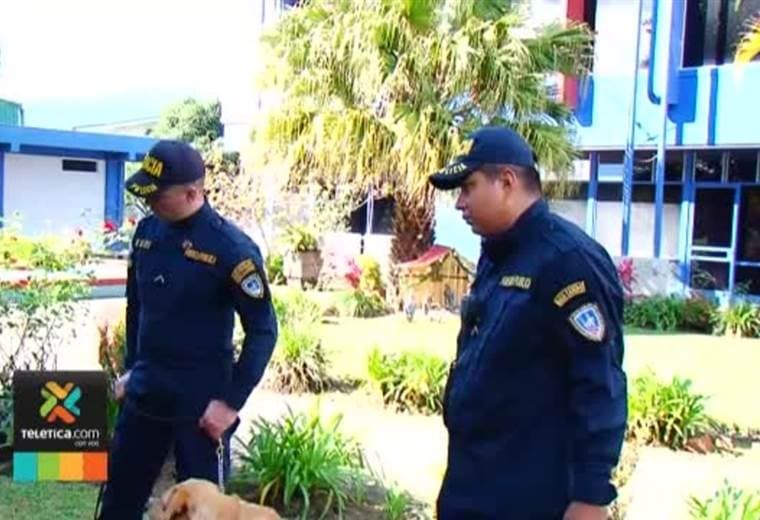 Fuerza Pública jubila a cuatro de sus perros policías