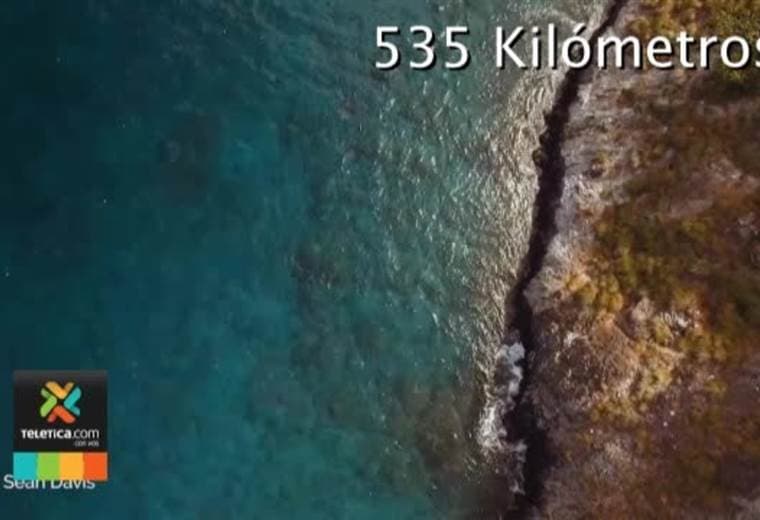 Parte del tesoro natural de la Isla del Coco está ahora plasmado en un libro