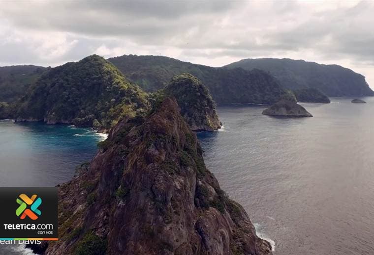 Parte del tesoro natural de la Isla del Coco está ahora plasmado en un libro