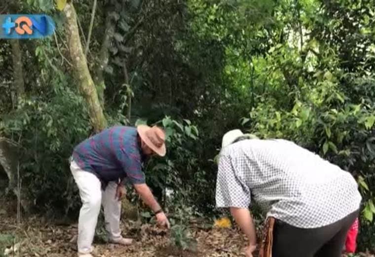 Cuentan los vecinos de mayor edad en el cantón de Palmares que por un camino al que hoy todos conocen como Calle Brujos se comenzó a plasmar una historia de susto e incertidumbre entre los que recorrían ese paso para viajar a San Ramón. Según la leyenda, unas brujas se fueron a vivir en la zona, que estaba poco poblada y muy pocos transitaban. Molestas por el paso de personas cerca de sus casas, se empeñaron en hacer la vida imposible a quienes se atrevían a caminar por ahí.