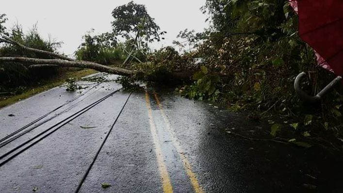 Derrumbes en carretera. 