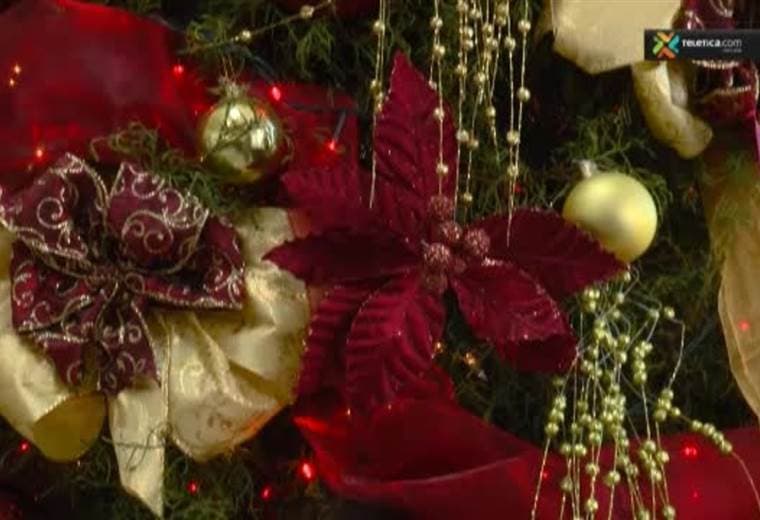 ¿Qué hacer con su arbolito de navidad en enero?