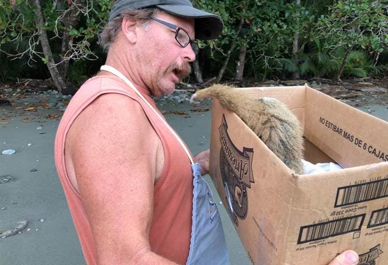 Tomadas del Facebook Morgan's Jungle Lodge