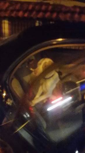 Las imágenes circularon en WhatsApp y se hicieron virales en Internet.