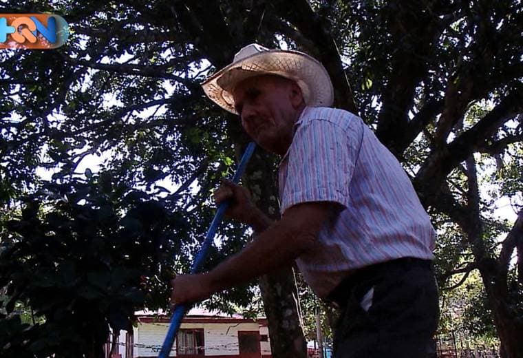 DON RAÚL CESPEDES ES CONOCIDO COMO EL ZORRO DEL CANTÓN DE TURRUBARES.  UN PERSONAJE DEL PUEBLO QUE A SUS 87 AÑOS SE MANTIENE ACTIVO EN SUS LABORES COMO AGRICULTOR.