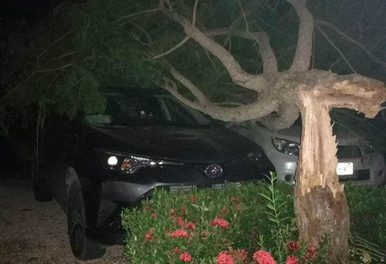 Fotografías cortesía de GuanaNoticias