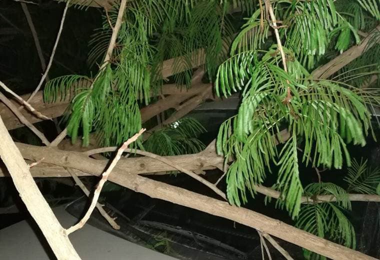 Fotografías cortesía de GuanaNoticias