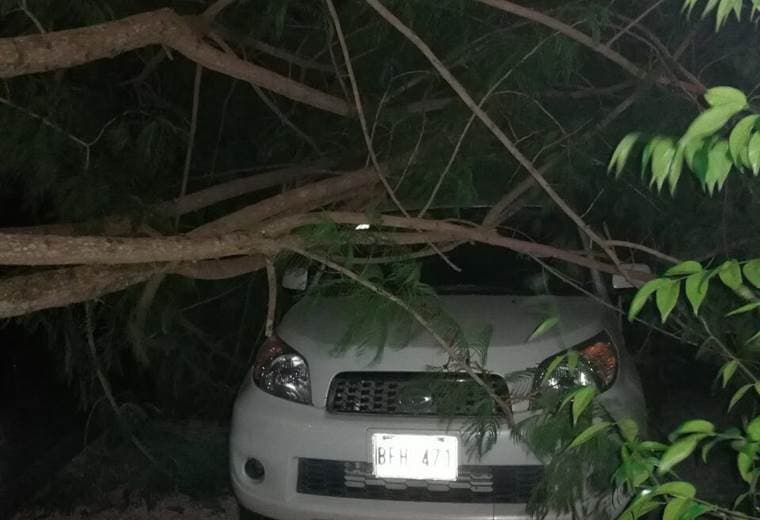 Fotografías cortesía de GuanaNoticias