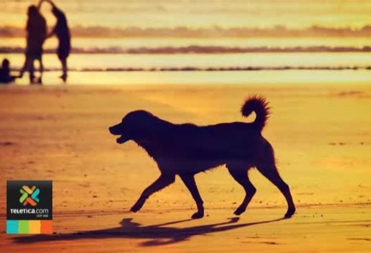 Fotógrafo tico recorre el país y nos acerca a los rincones más bellos de Costa Rica