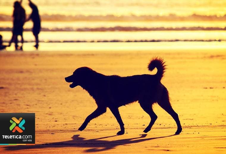 Fotógrafo tico recorre el país y nos acerca a los rincones más bellos de Costa Rica