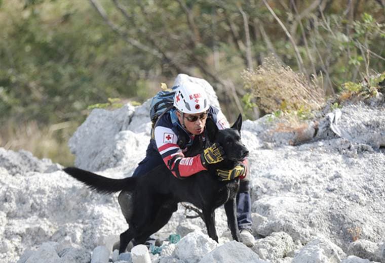 Perros de Rescate de Cruz Roja logran certificación para atender emergencias internacionales