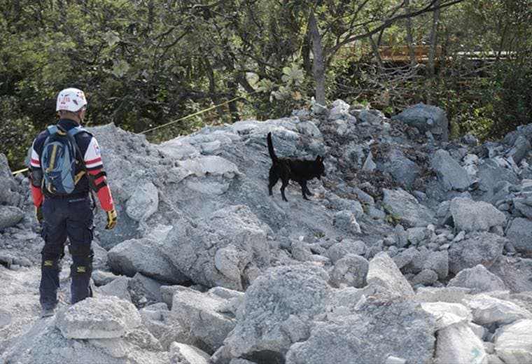 Perros de Rescate de Cruz Roja logran certificación para atender emergencias internacionales