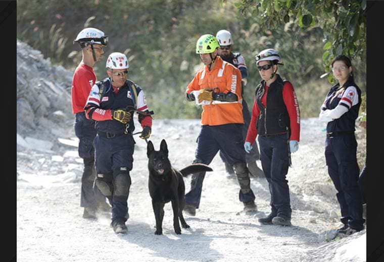 Perros de Rescate de Cruz Roja logran certificación para atender emergencias internacionales
