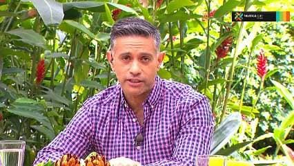 ¿Sabía usted que su boca alberga millones de bacterias?