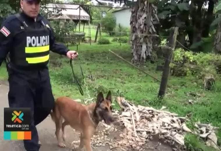 OIJ de Santa Cruz detuvo a cuatro sospechosos de tachar vehículos en la zona