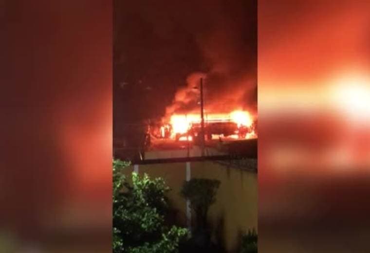 Incendio en caballeriza acaba con la vida de 2 caballos en San Rafael de Heredia