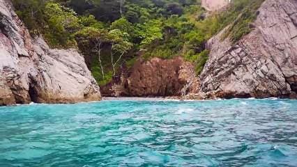 Disfrute de un espectáculo natural en Isla Tortuga