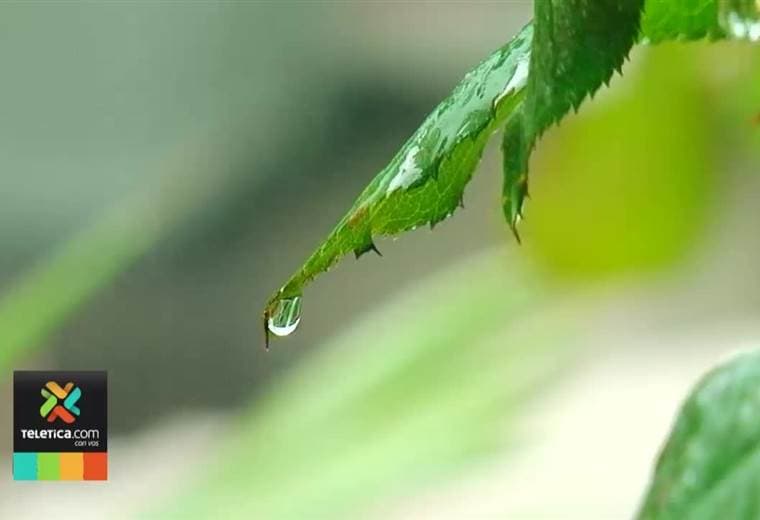 Hospital México tendrá muy pronto un mariposario para paciente