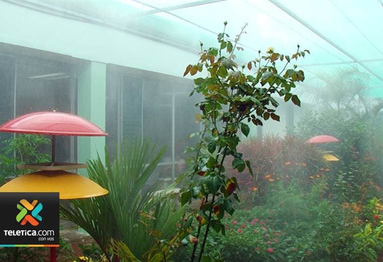 Hospital México tendrá muy pronto un mariposario para paciente