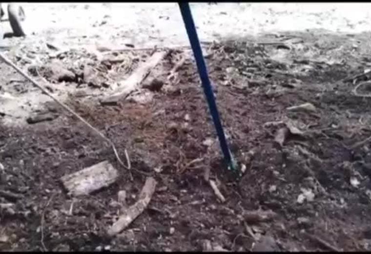 Bomberos capturaron una serpiente coral esta mañana en una vivienda de Alajuela