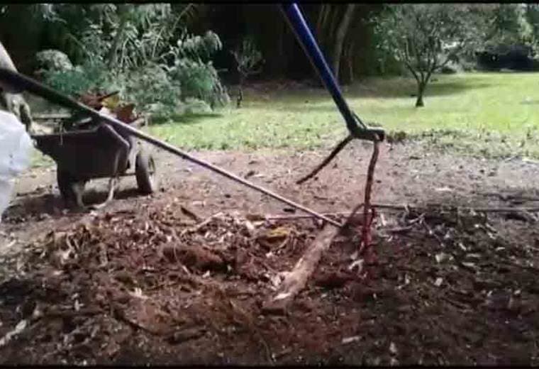 Bomberos capturaron una serpiente coral esta mañana en una vivienda de Alajuela