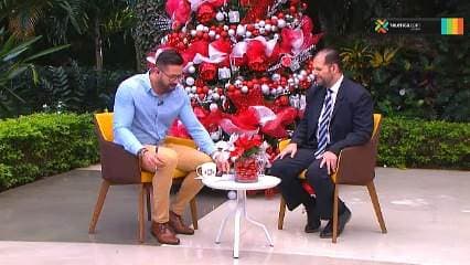 Conozca los tratamientos para combatir la pseudogota