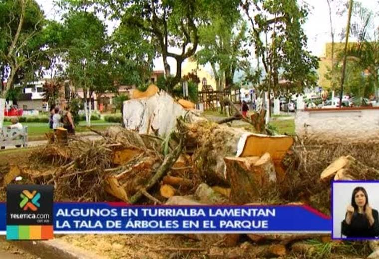 Vecinos lamentan la tala de árboles en el parque de Turrialba