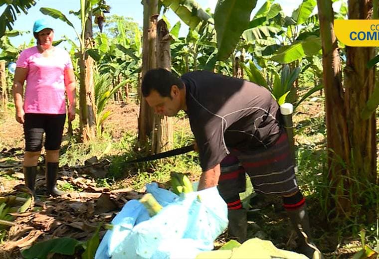 Fideimas financió a pareja agricultora empezar su propio negocio