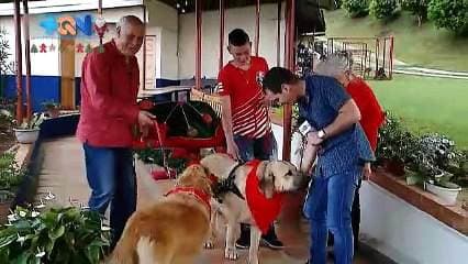 En Acosta encontramos a la familia Clos muy particular.  Acá los renos que tradicionalmente jalan el carruaje de Santa, fue cambiado por perros hermosos y grandes.  Se trata de una familia quienes brindan el espectáculo canino por todas partes del país.  Los perros son entrenados para tratar con niño y brindar un show de primer mundo.