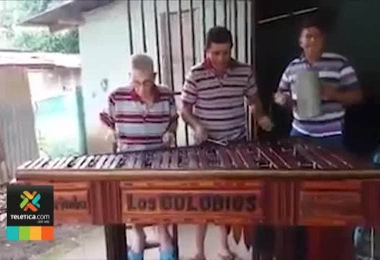 Profesor de música de Santa Cruz siembra árboles para poder fabricar marimbas
