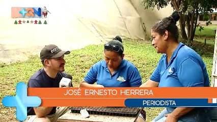 En Peñas Blancas de Colorado de Abangares encontramos un grupo de mujeres quienes de la hidroponía sacan los ingresos para la familia. Ese no solo son enprendedoras, son luchadoras y salen todos los días a vender las lechugas a quinientos colones.  De aquí no sólo sale el sustento de la familiar, sino también la realización personal para unas mujeres quienes se pusieron manos a la.obta en una zona donde las fuentes de empleo son limitadas.