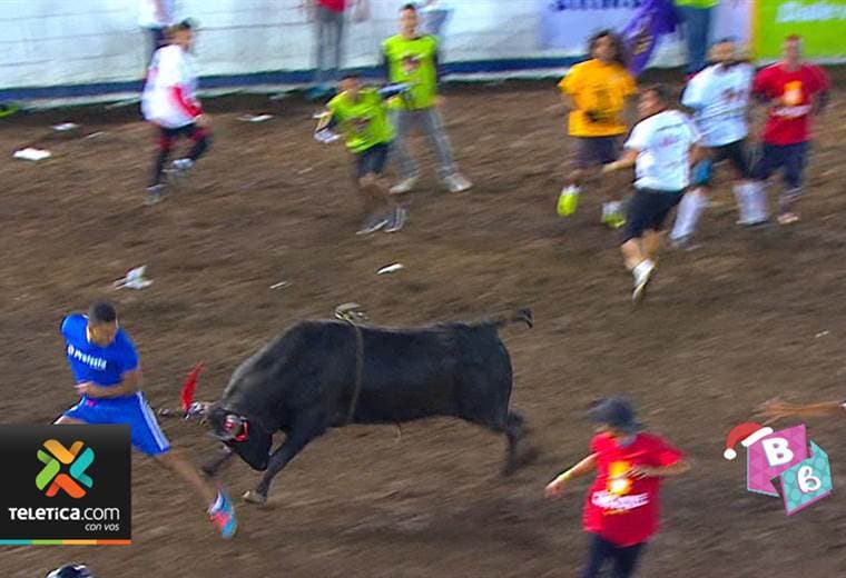Así se viven todos los preparativos previo al inicio de los Toros Teletica