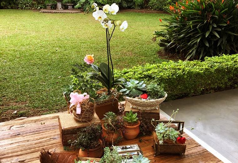 Detalles con flores y plantas para regalar el día de San Valentín