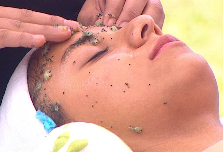 Conozca las ventajas de las mascarillas a base de kiwi