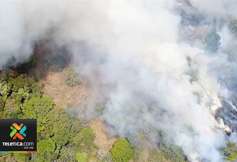 Quema de charral casero pudo ocasionar incendio en Santa María de Dota
