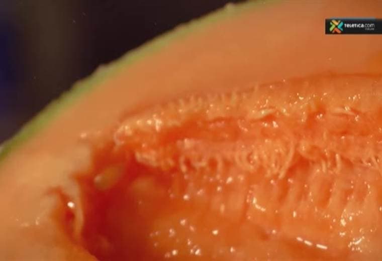 Le brindamos recetas prácticas, ricas y nutritivas para las meriendas de los niños
