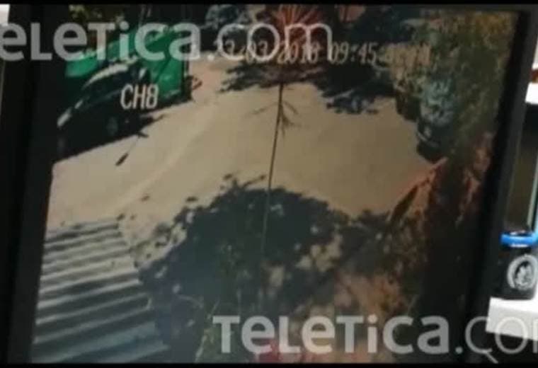 Joven se salvo por escasos segundos de ser aplastada por enorme árbol en la UCR