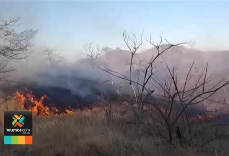 Bomberos ha atendido más de 5.3000 quemas en charrales este 2018