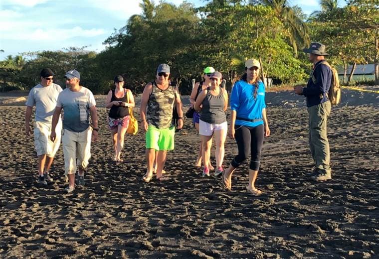 Tortugas lora en playa Ostional